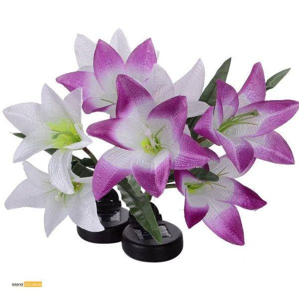 Flower Shaped Garden Solar Light Home & Garden Lights & Lighting Outdoor Brand Name: AMARYLLIS